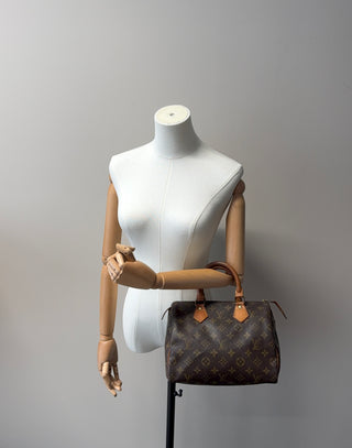 Louis Vuitton Speedy 25