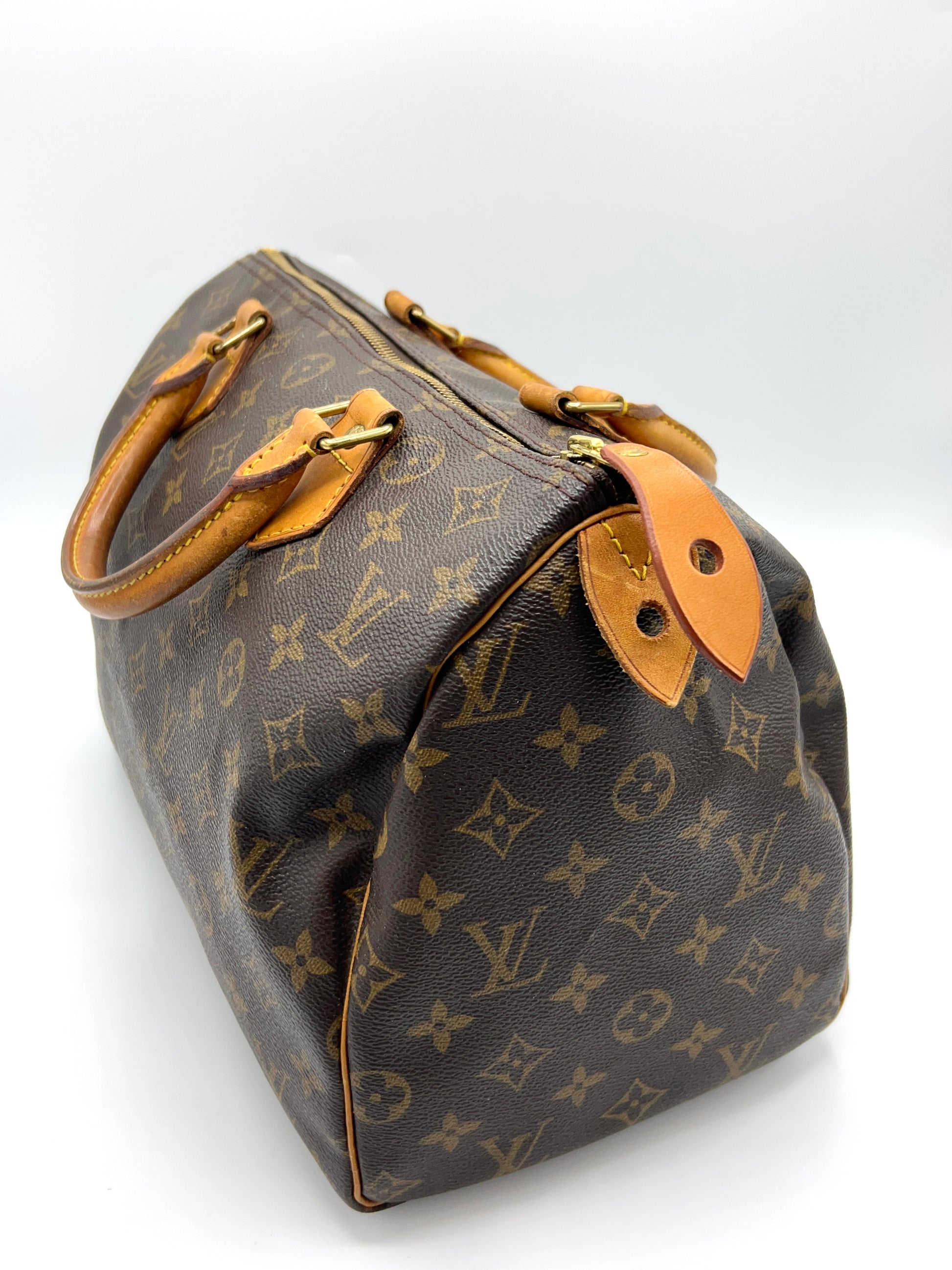 Shop for Louis Vuitton Sienna Brown Epi Leather Speedy 30 cm