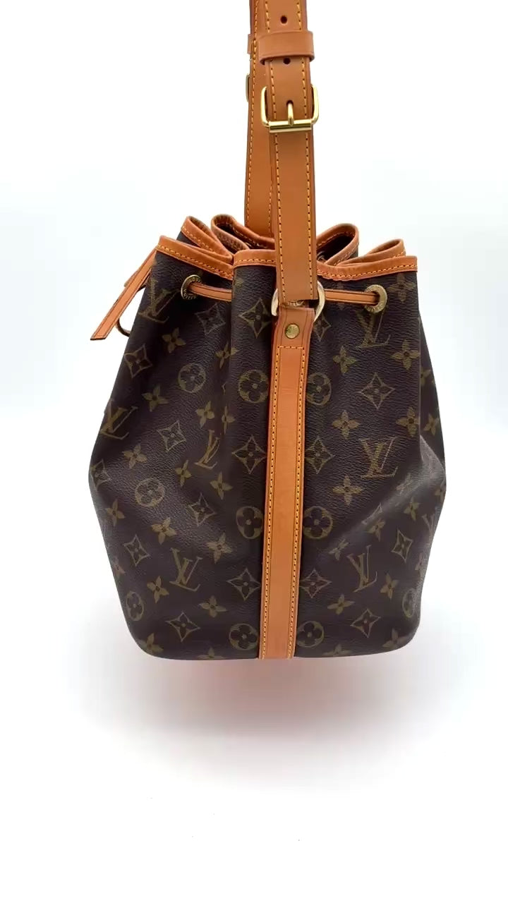 Louis Vuitton Sac Noé Petit Video